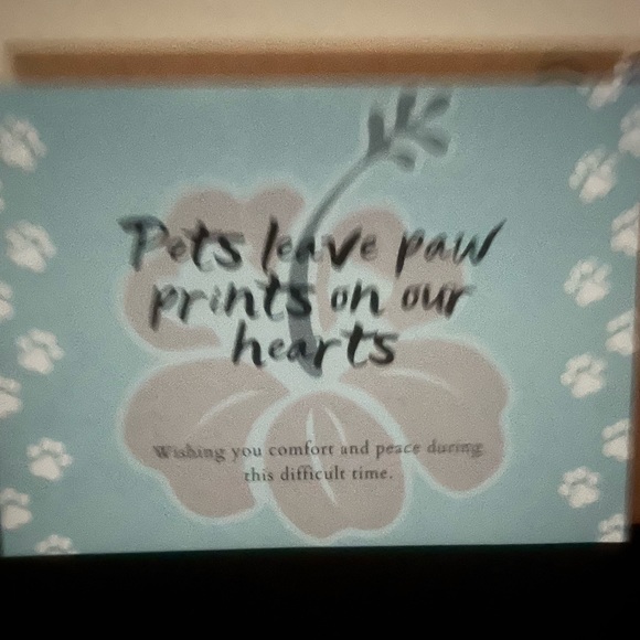 It’s been 1 year Farewell My Love, my best friend of 20yr s - Picture 3 of 9